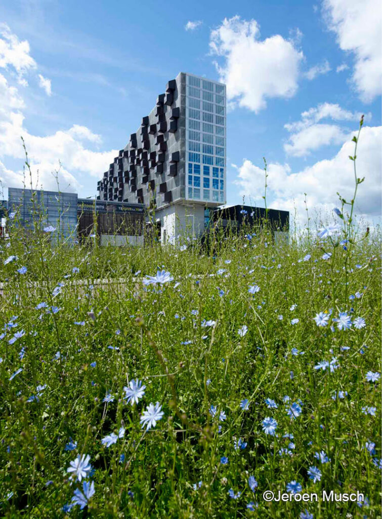 Noordsingel Lofts