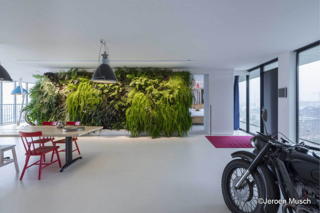 Noordsingel Lofts